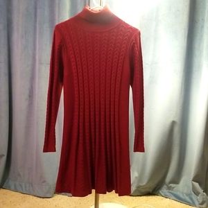 Red/Maroon Tuttleneck Sweater Dress Fit and Flare
